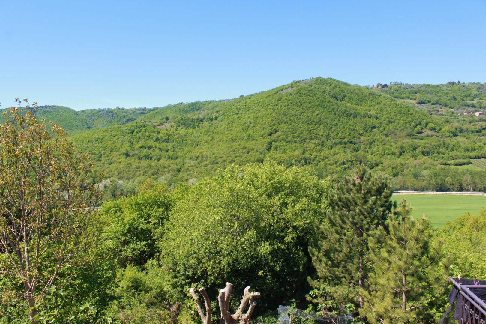 immagine annuncio 11 di 14