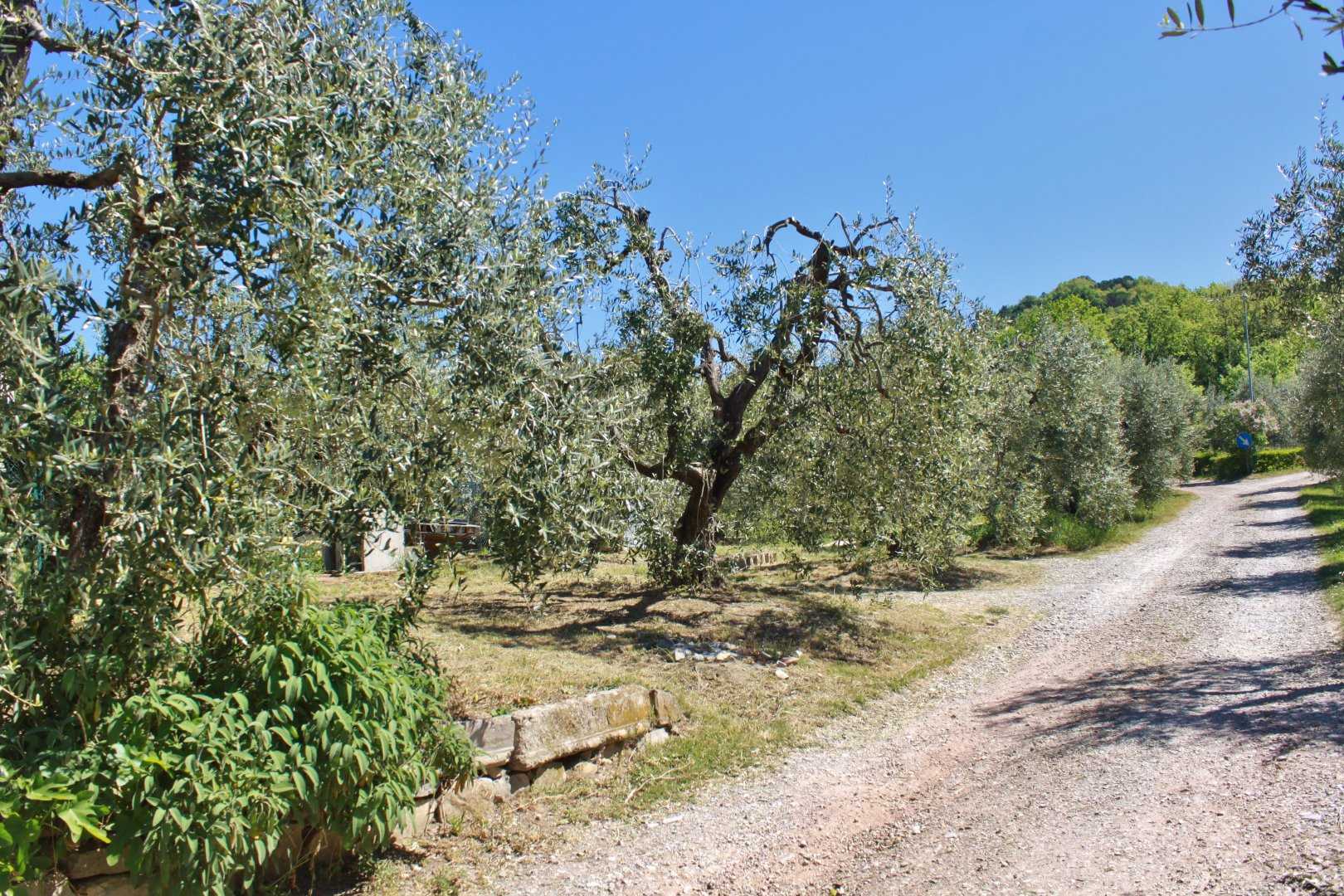 immagine annuncio 12 di 14