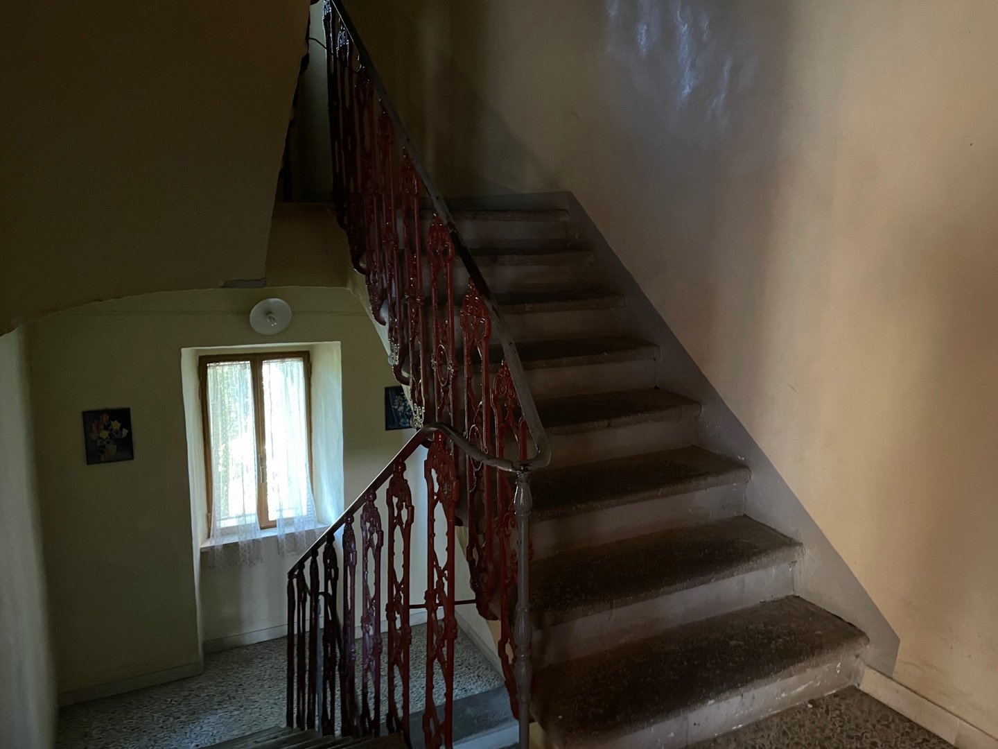 immagine annuncio 10 di 14