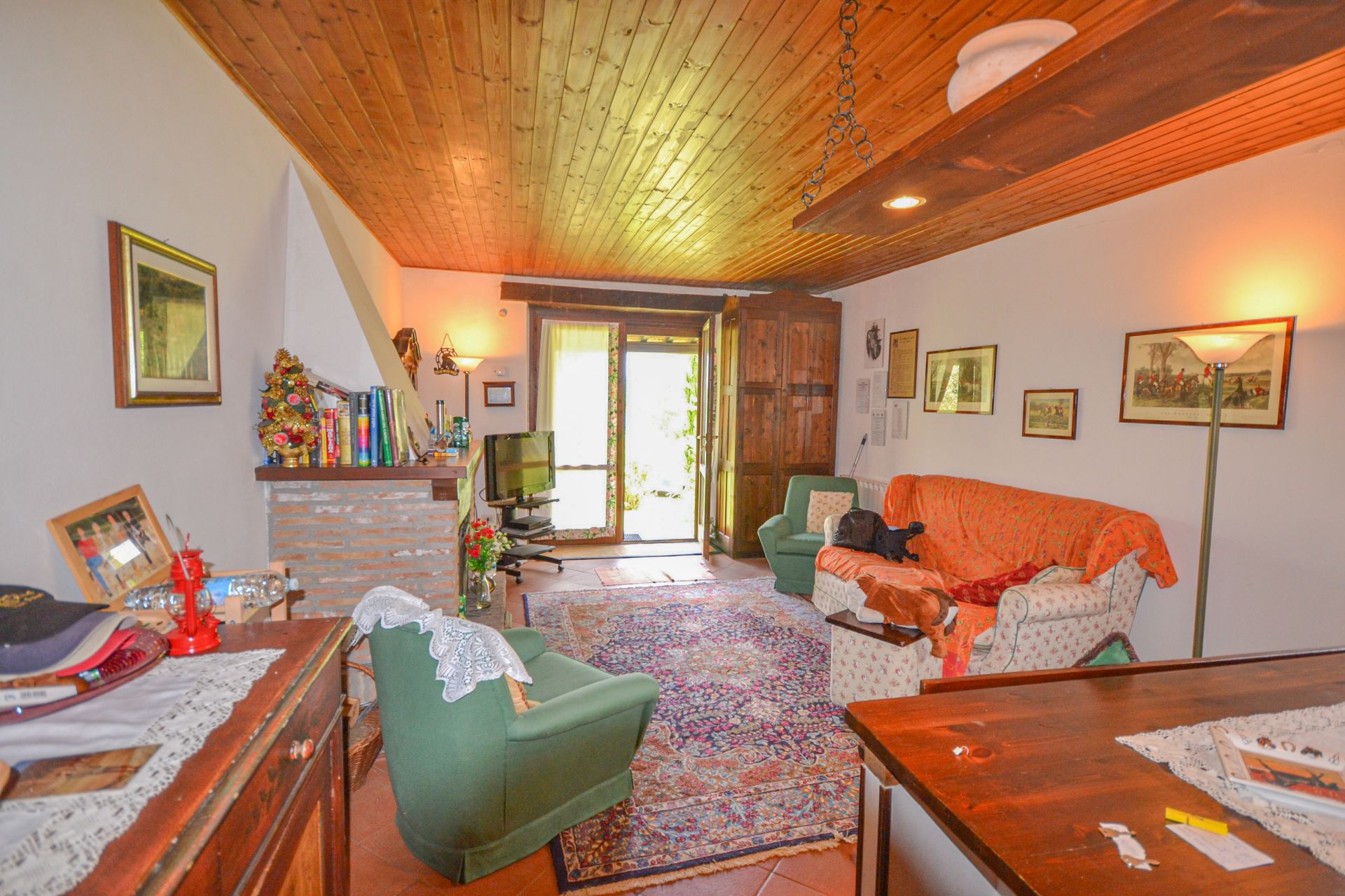 immagine annuncio 8 di 15