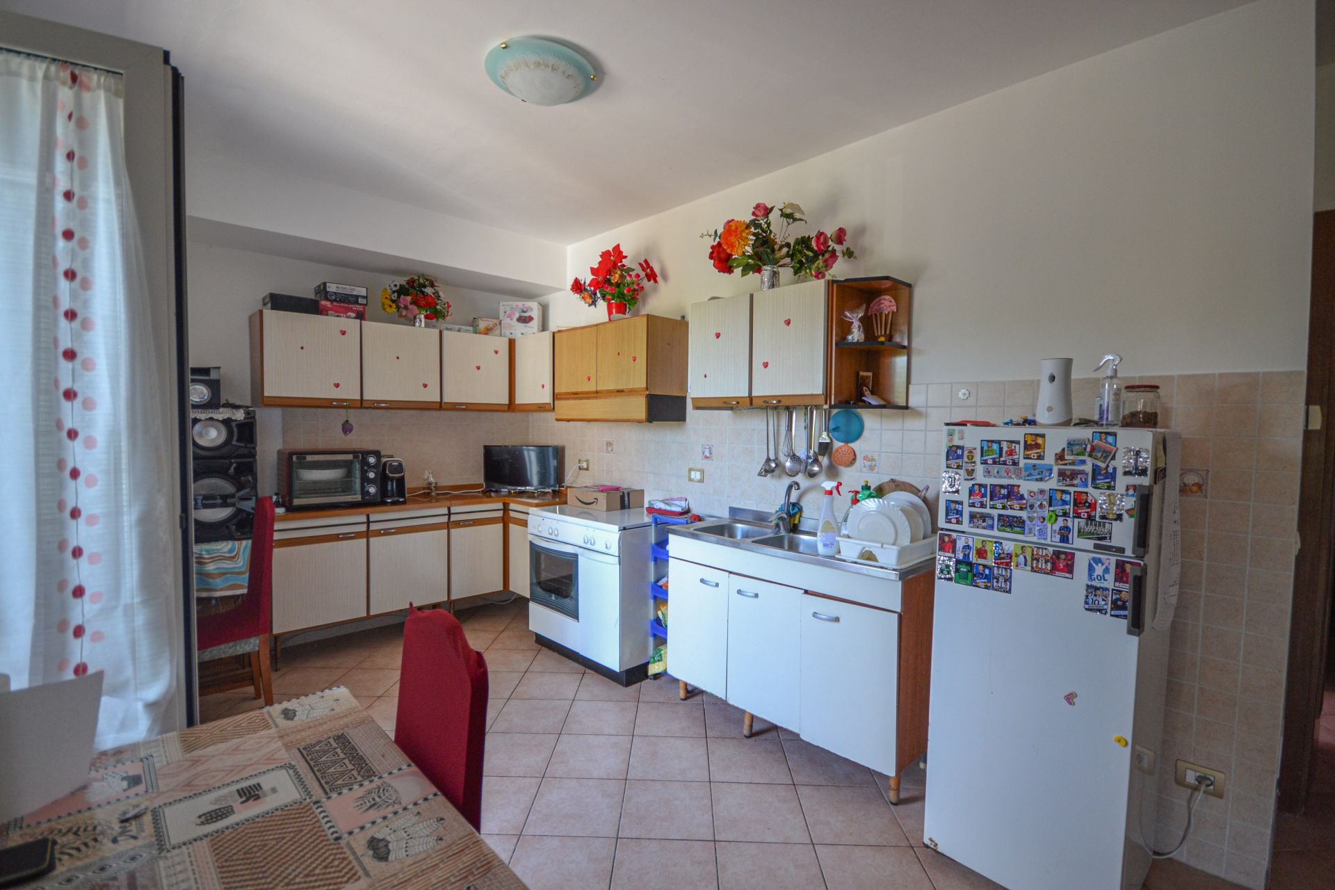 immagine annuncio 3 di 14