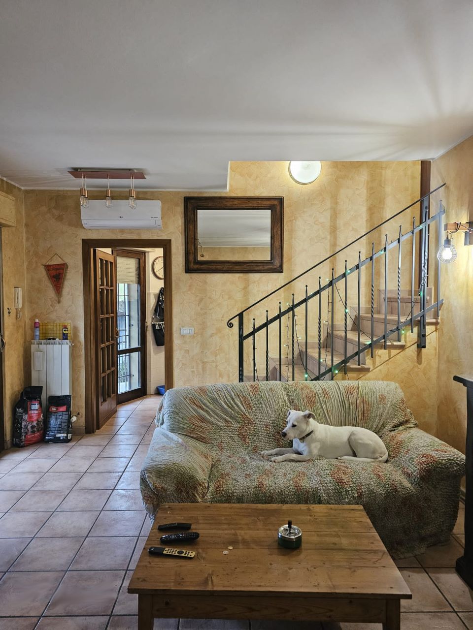 immagine annuncio 1 di 12