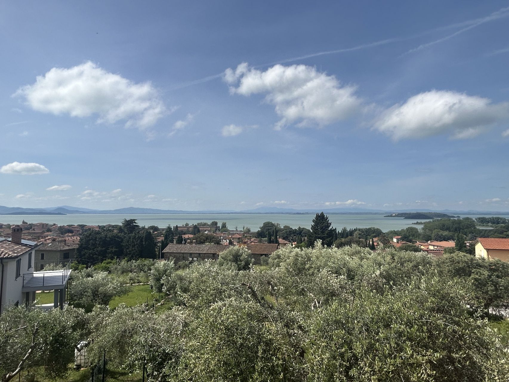 immagine annuncio 8 di 13