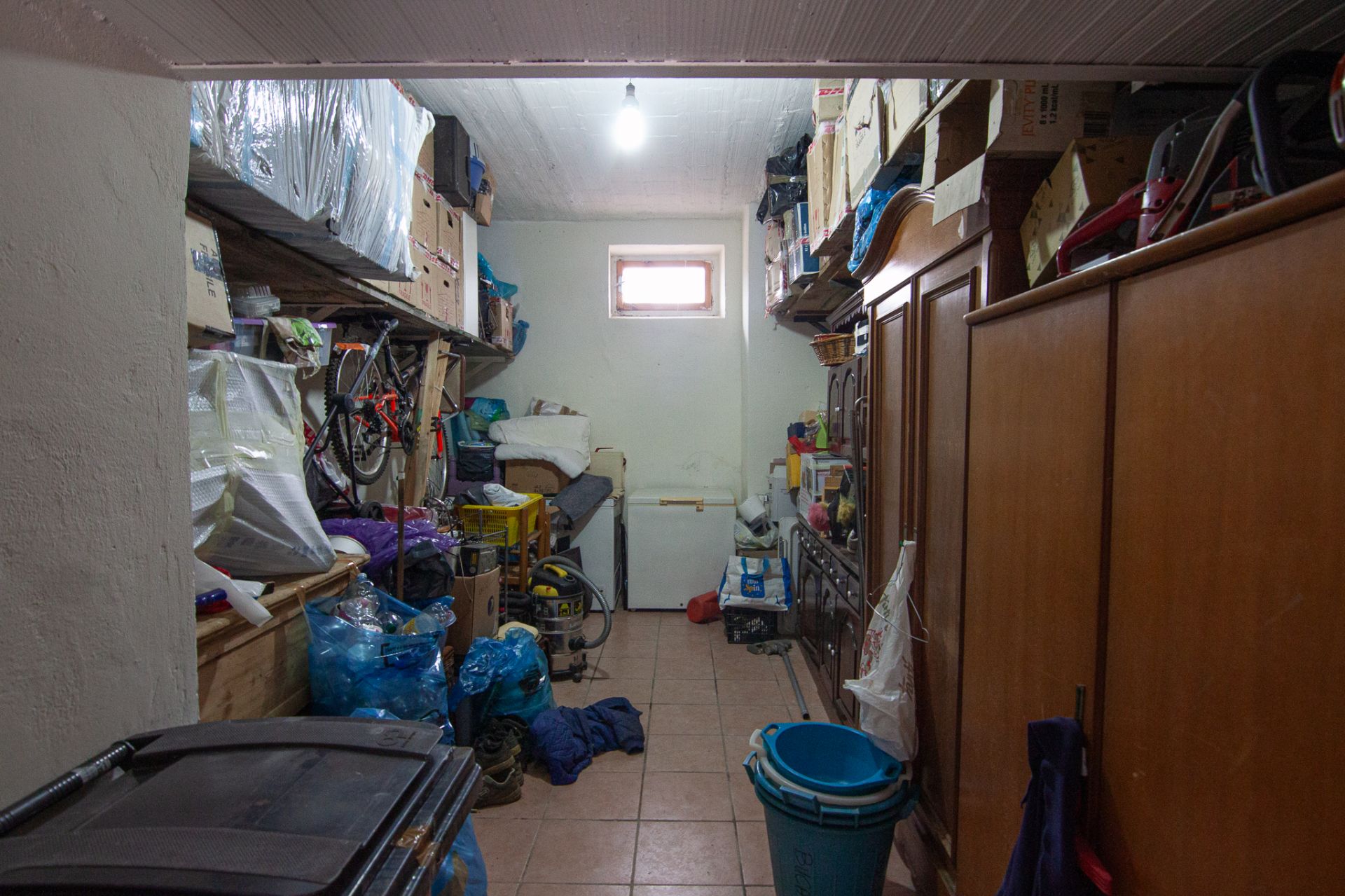 immagine annuncio 12 di 14