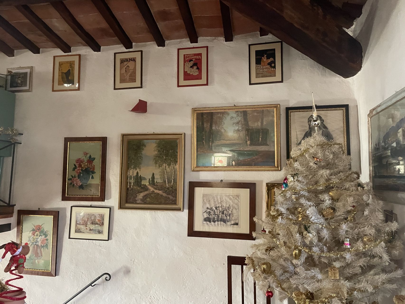 immagine annuncio 11 di 15