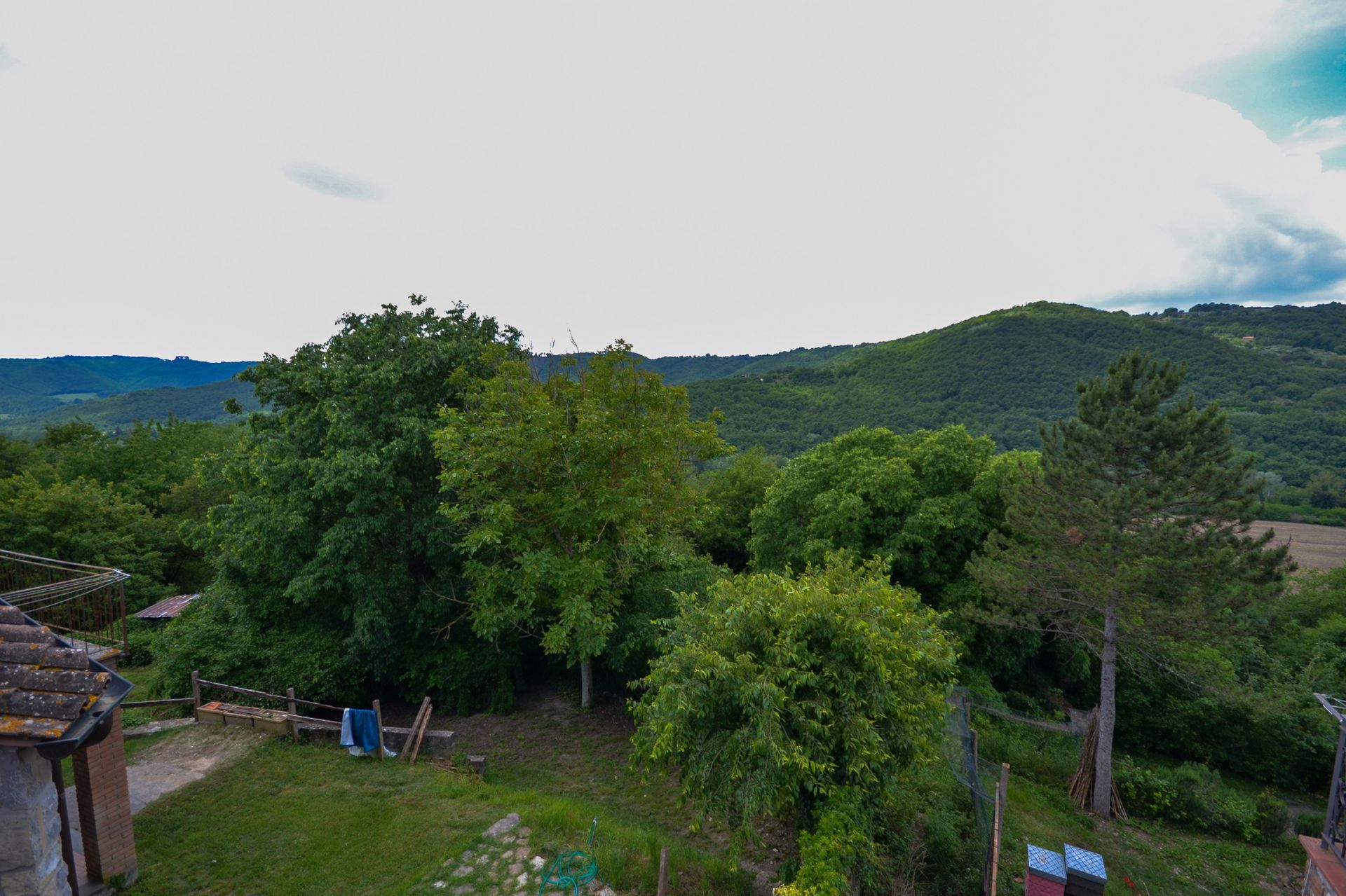 immagine annuncio 13 di 14