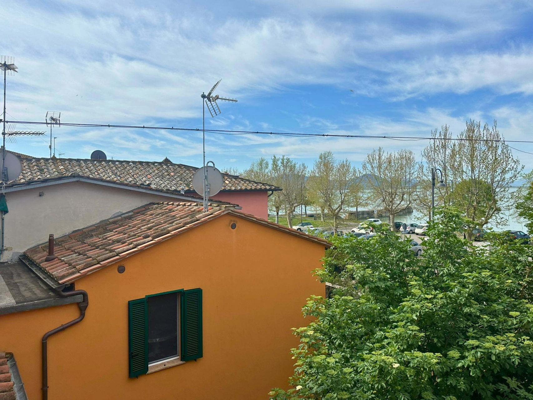 immagine annuncio 2 di 12
