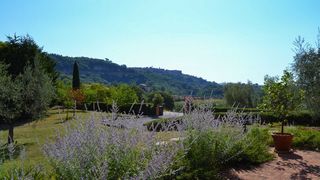 Monteleone d'Orvieto, farmhouse with infinity pool with view