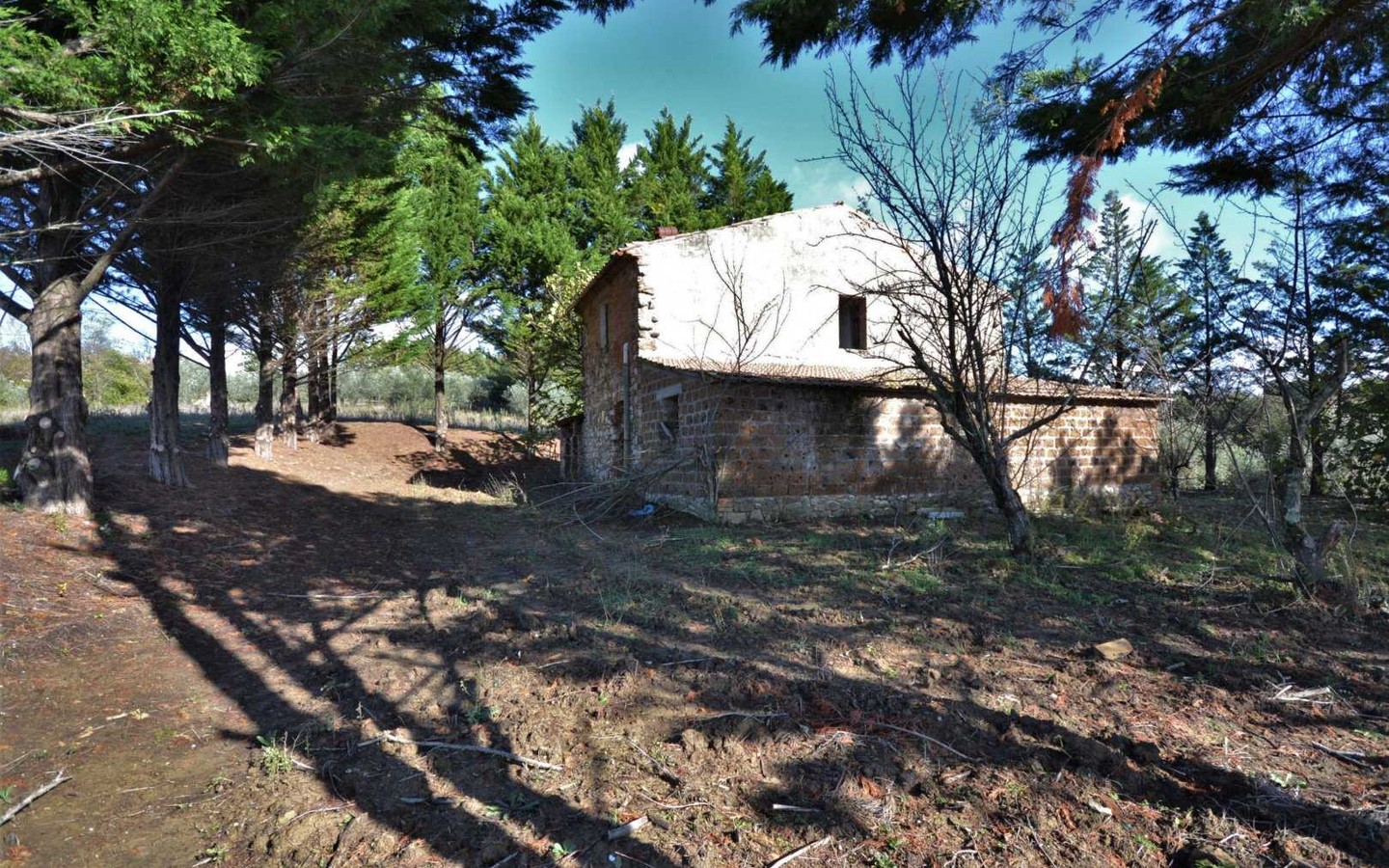 House in Ficulle - Image 2