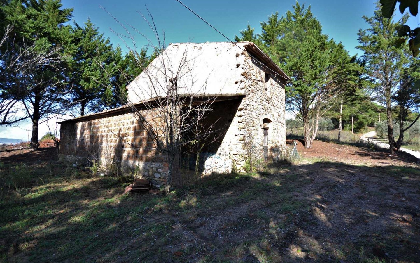 House in Ficulle - Image 3