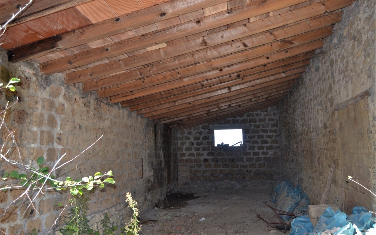 House in Ficulle - Image 5