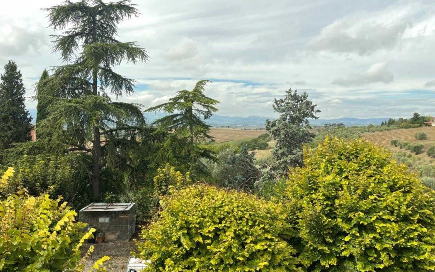 House in Pozzuolo - Image 5