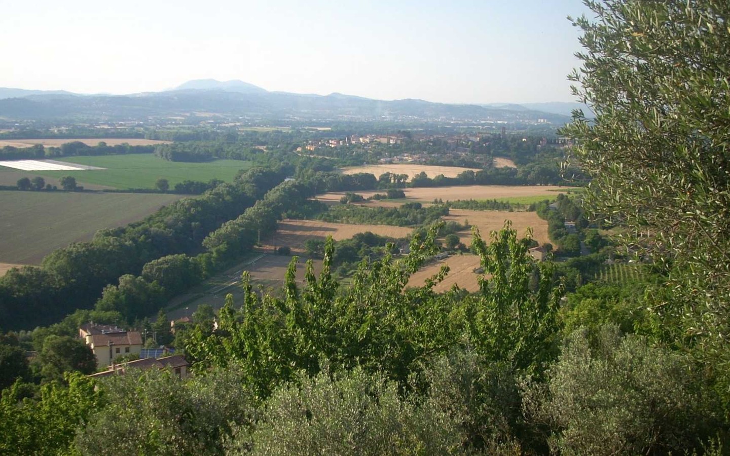 House in Cittadella - view 1